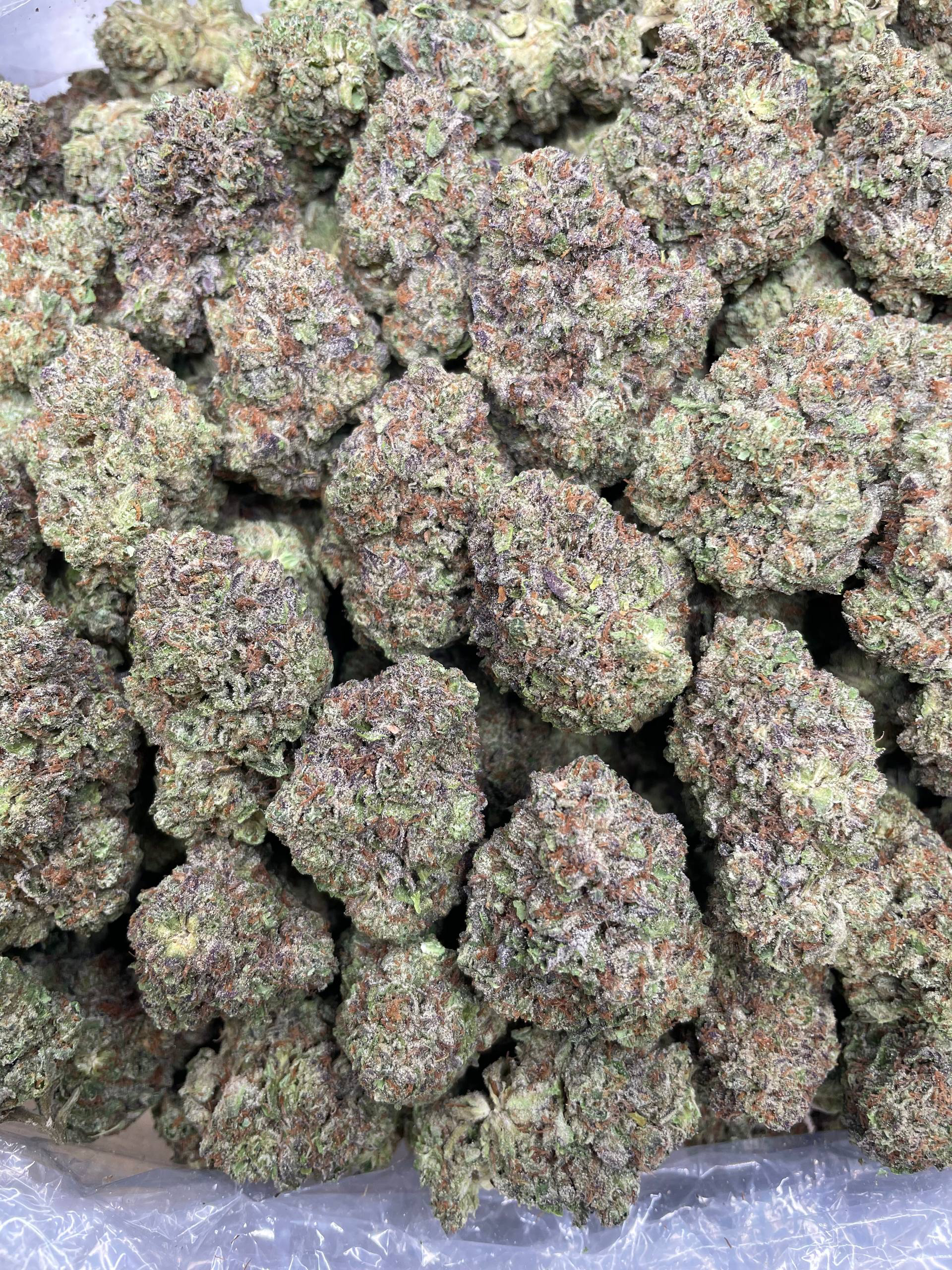 Jealousy Runtz strain
